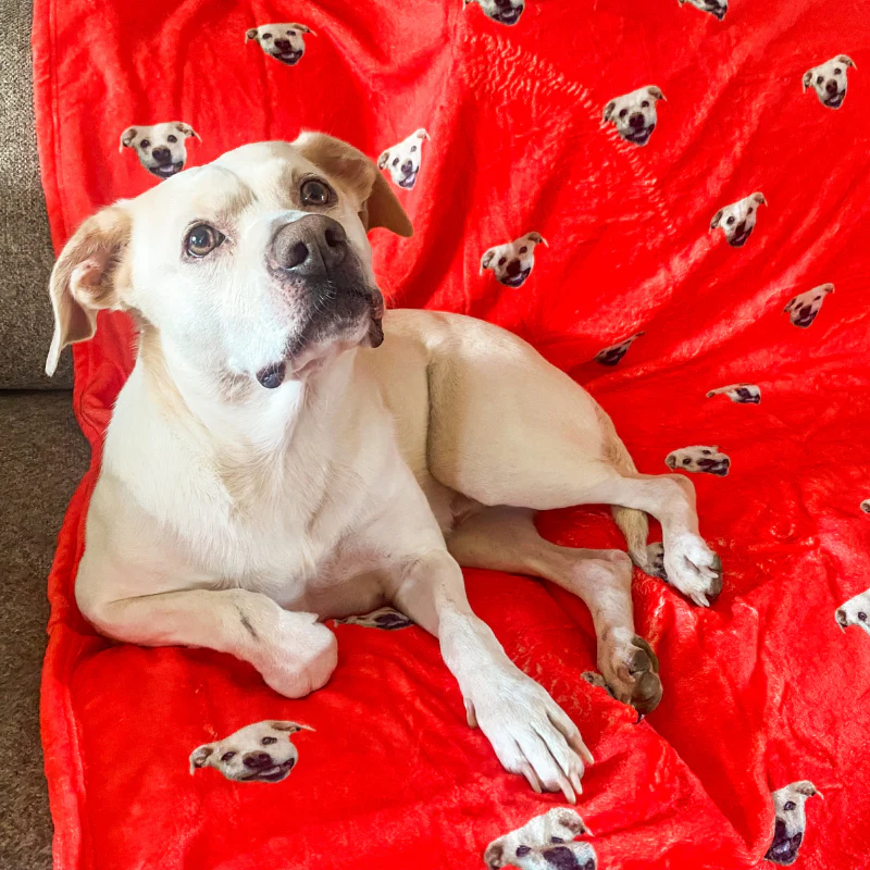 Custom Blanket - Image 4